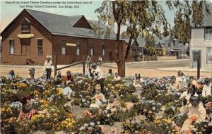 Flower Garden Under Care of San Diego School Children California c1910s Postcard