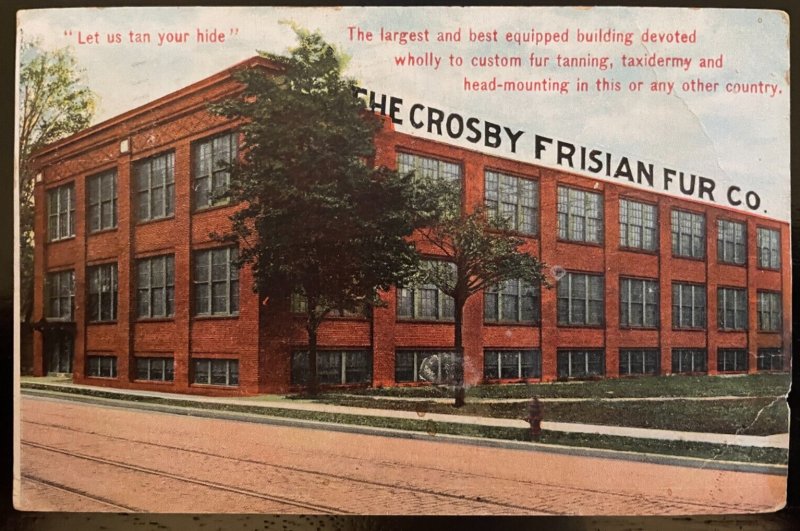 Vintage Postcard 1911 The Crosby Frisian Fur Co., Rochester, New York (NY)