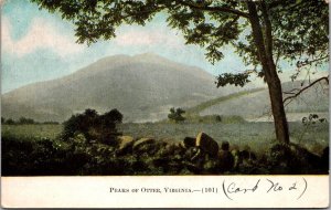 Scenic View, Peaks of Otter, VA Vintage Postcard U78