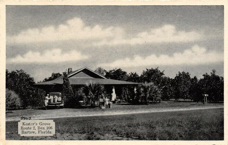 Bartow Florida~Kester's Grove Roadside Fruit Stand~Pick Your Own Citrus~1930 B&W 