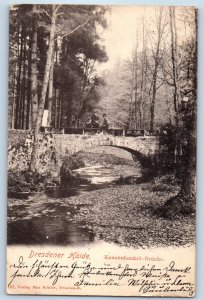 Saxony Germany Postcard Dresden Heath Kannenhenkel Bridge 1901 Antique