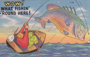 Fishing Humour Wow What Fishin' 'Round Here