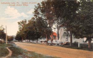 Section of Street Sabbathday Lake Maine ME USA Shaker Unused 