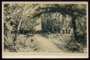 h3620 - VANCOUVER BC 1916 Stanley Park. Real Photo Postcard by Gowen Sutton