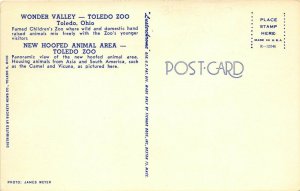 Toledo Ohio 1960s Banner Postcard Wonder Valley Children's Zoo and Camels