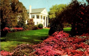 North Carolina Wilmington Orton Plantation 1956