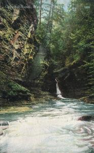 Watkins Glen NY Postcard Cathedral Rapids Geo V Millar