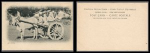 British India Antique Vintage Post Card An Ecca horse Carriage