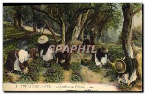 Old Postcard picking violets Cote d & # 39Azur