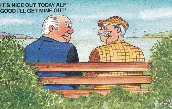 OAP Pensioner Park Bench Erection 1970s Bamforth Comic Humour Postcard