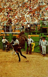 Texas Thrills At The Rodeo