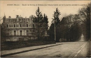 CPA STENAY Route de Cervizy et Chateau des Tilleuis habite par l (152661)