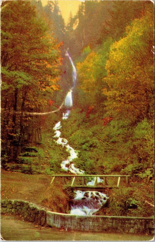 Wakeenah Falls Cascade Mountains Oregon OR Bridge Postcard VTG UNP Vintage 