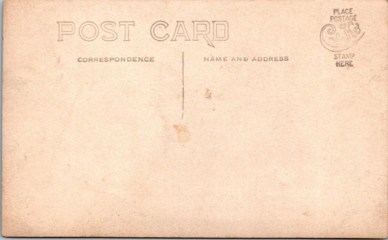 RPPC Postcard Young Woman Ginham Dress Studio Portrait 1900’s~KB4