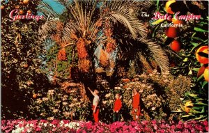 Greetings Date Harvest Empire Indio California CA Colorful Flowers VTG Postcard 