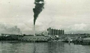 Postcard  RPPC Sound View Pulp Mill in Everett, WA.,by Ellis 1436     aa2