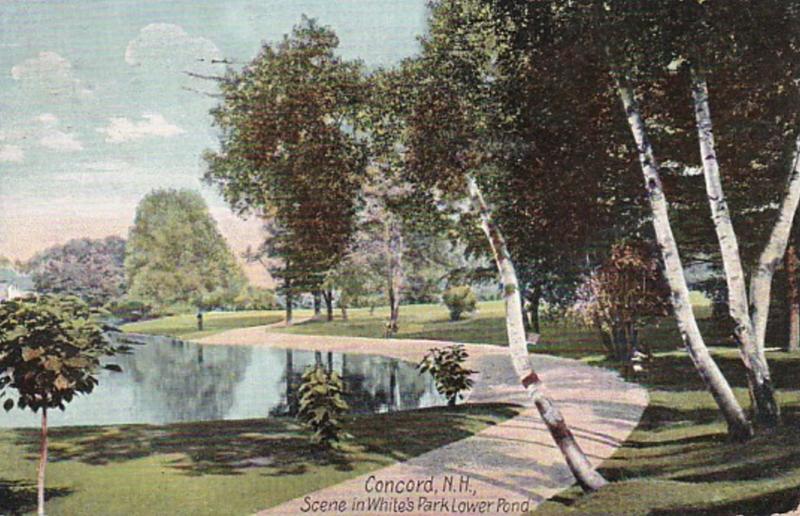 New Hampshire Concord Lower Pond In White's Park 1909