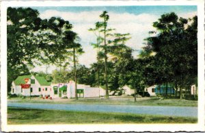 Vtg Little Falls Minnesota MN Shady Pines Tourist Camp Cabins Postcard