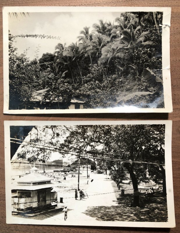 1940s RPPC Papeete Tahiti Street Scene Nature Photos Lot of 2