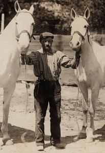 1904-18 RPPC Gettysburg PA Goerge Yohe & 2 White Horses RARE Real Photo Postcard