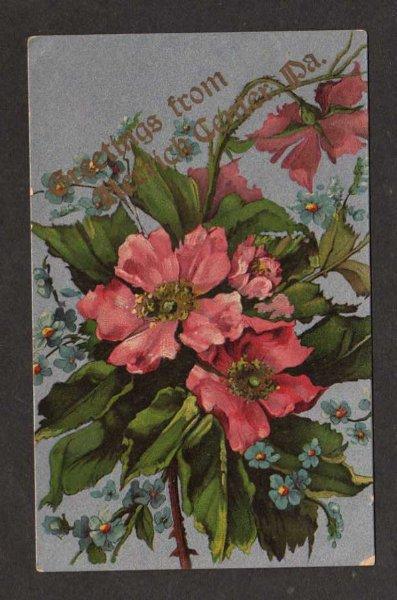 PA Greetings from HERRICK CENTER PENN Postcard Flowers  Pennsylvania