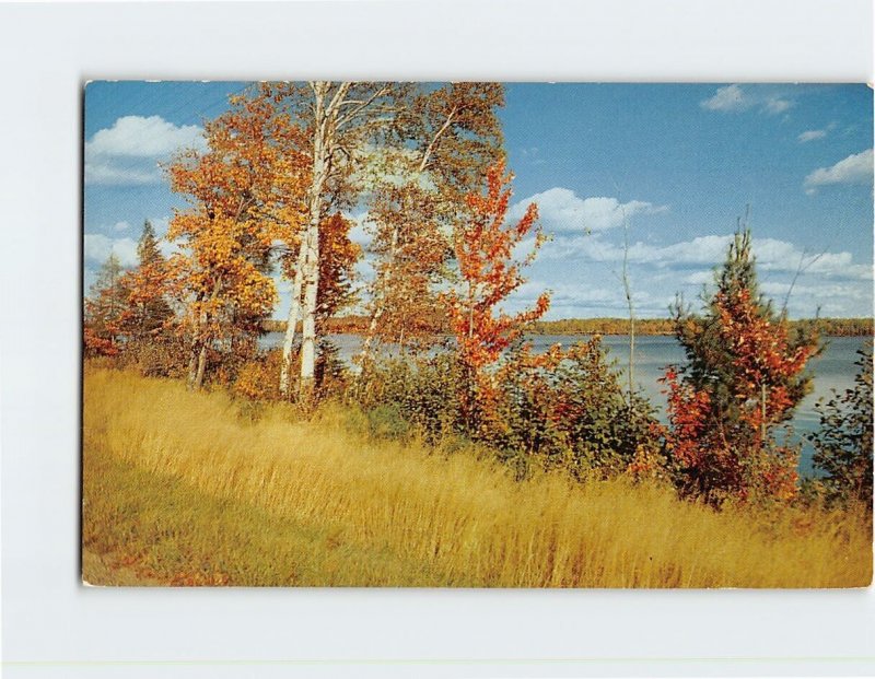 Postcard 'Tis Autumn, A typical Fall scene, Vacationland Scene 