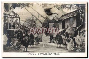 Old Postcard Theater Edmond Rostand Chantecler L & # 39arrivee of pheasant