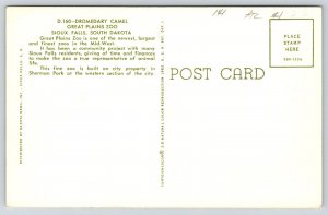 Animals~Dromedary Camel Great Plains Zoo Sioux Falls SD~Vintage Postcard