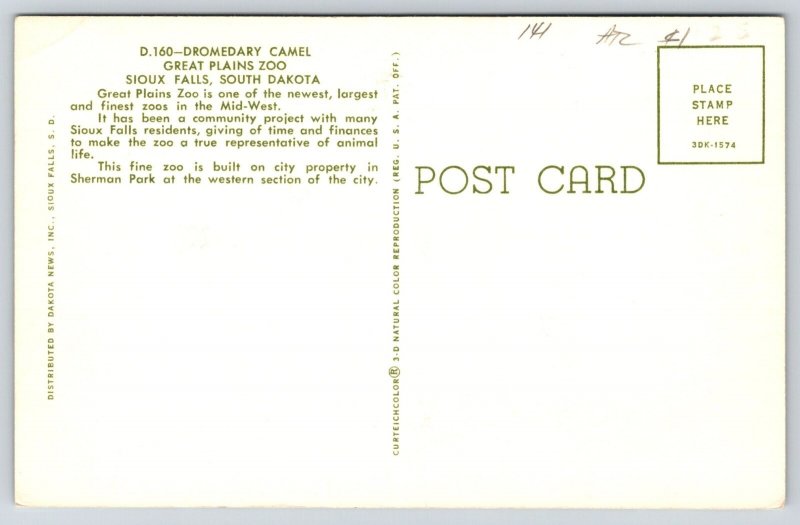 Animals~Dromedary Camel Great Plains Zoo Sioux Falls SD~Vintage Postcard