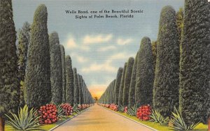 Palm Beach, FL, USA Florida Postcard