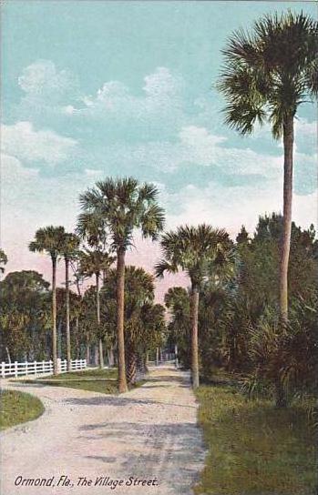 Florida Ormond The Village Street