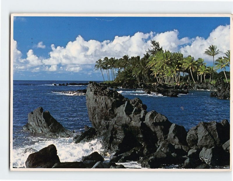 Postcard Beautiful Shoreline of Maui Hawaii USA