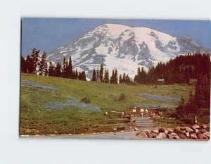 Postcard Mt. Rainier as seen from the beginning of the Skyline Trail WA USA