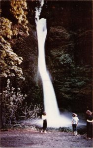 Horsetail Falls Columbia River Highway Oregon Postcard PC363