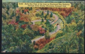 Color PC Loop Newfound Gap Highway Great Smoky Mountains , Unused