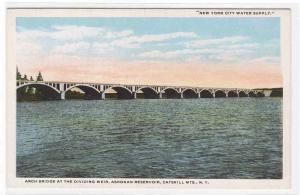 Sixteen Arch Bridge Ashokan Dam Catskill Mountains New York 1920s #2 postcard