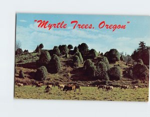 Postcard Myrtle Trees, Oregon