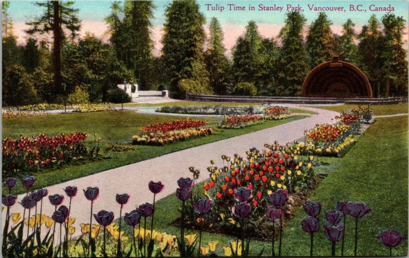 VINTAGE POSTCARD TULIP TIME IN STANLEY PARK VANCOUVER BRITISH COLUMBIA c. 1925