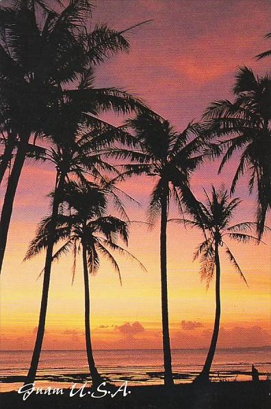 Guam Sunset With Palm Trees Greetings From Paradise