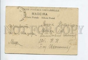 3155637 PORTUGAL MADEIRA Bananeira Vintage postcard