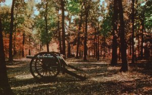 Vintage Postcard Ruggles Confederate Artillery Line Pittsburg Landing TN