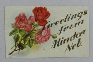 Pink and Red Roses - Greetings from Hinden, Nebraska - Vintage Postcard