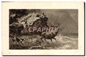 Postcard Old Dogs Dog Hunting hounds has Cerf