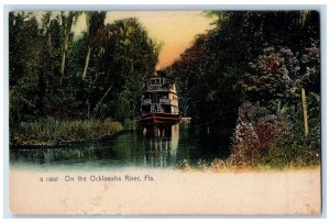 c1905 Boat On The Ocklawaha River Florida FL Rotograph Unposted Antique Postcard