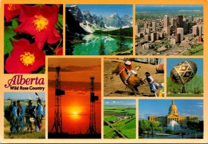 Canada Alberta Greetings From Wild Rose Country Multi View 1998