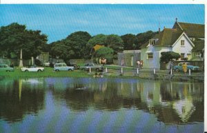 Sussex Postcard - The Village Pond - Rottingdean - Ref 15603A