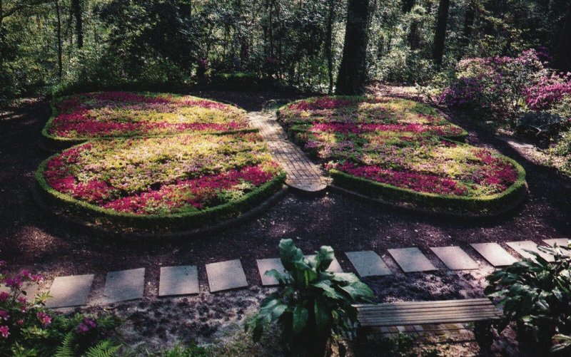 Vintage Postcard Butterfly Garden The Bayou Bend Collection Museum Fine Arts TX