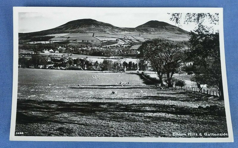 Vintage Real Photo  Postcard  Eildon Hills And Gattonside Scotland D1A