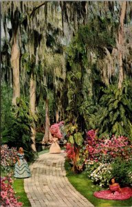 Florida Cypress Gardens Azalea Time