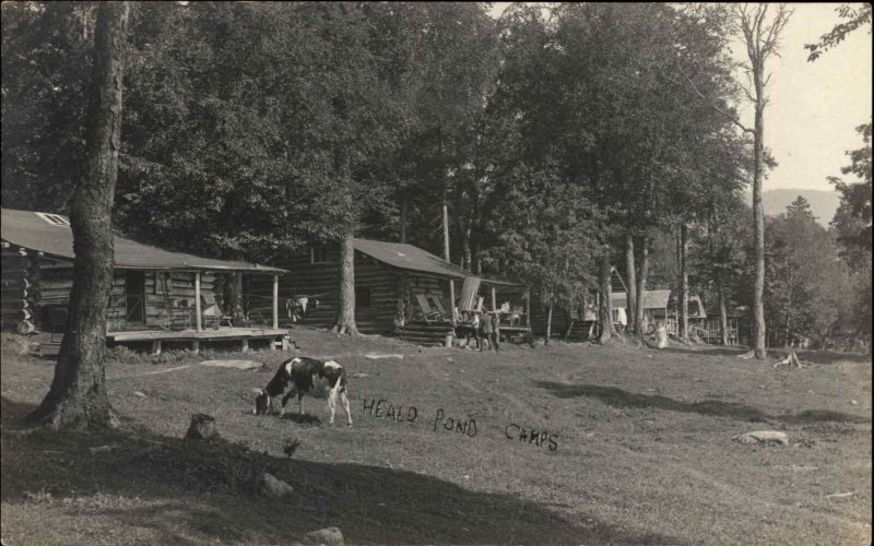 Jackman Maine ME Heald Pond Camps c1915 Real Photo Postcard